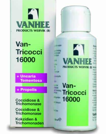 Vanhee Van-Tricocci 16000