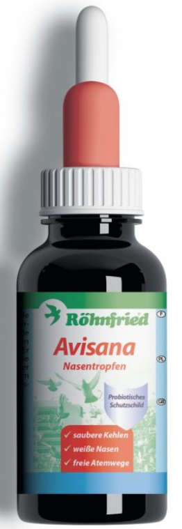 Avisana