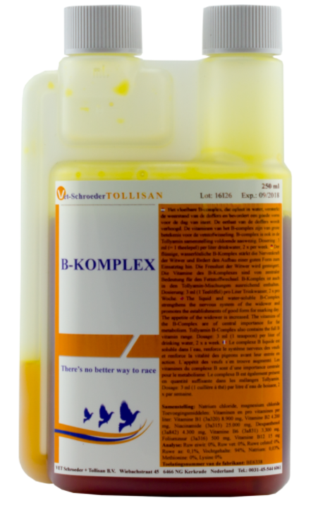 B-Komplex