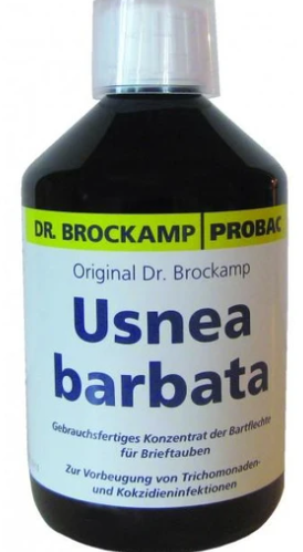 Usnea Barbata