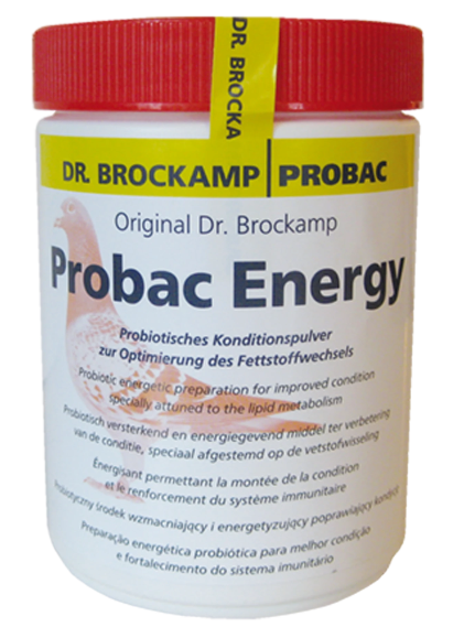 Probac Energy