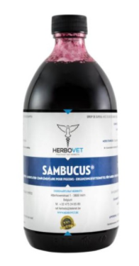 Sambucus
